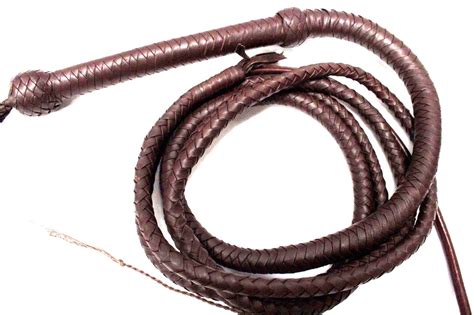 10 foot bullwhip